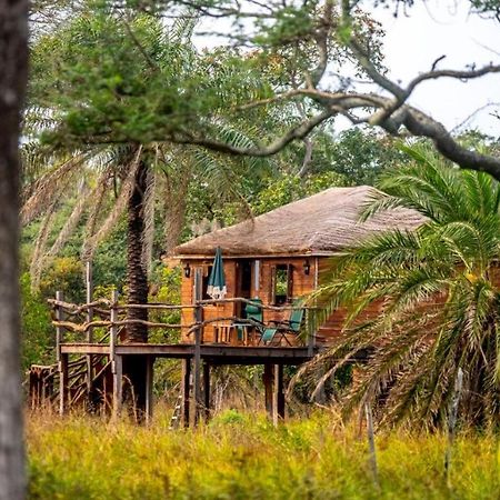 Mansa Musso Lodge Sanyang Exterior photo