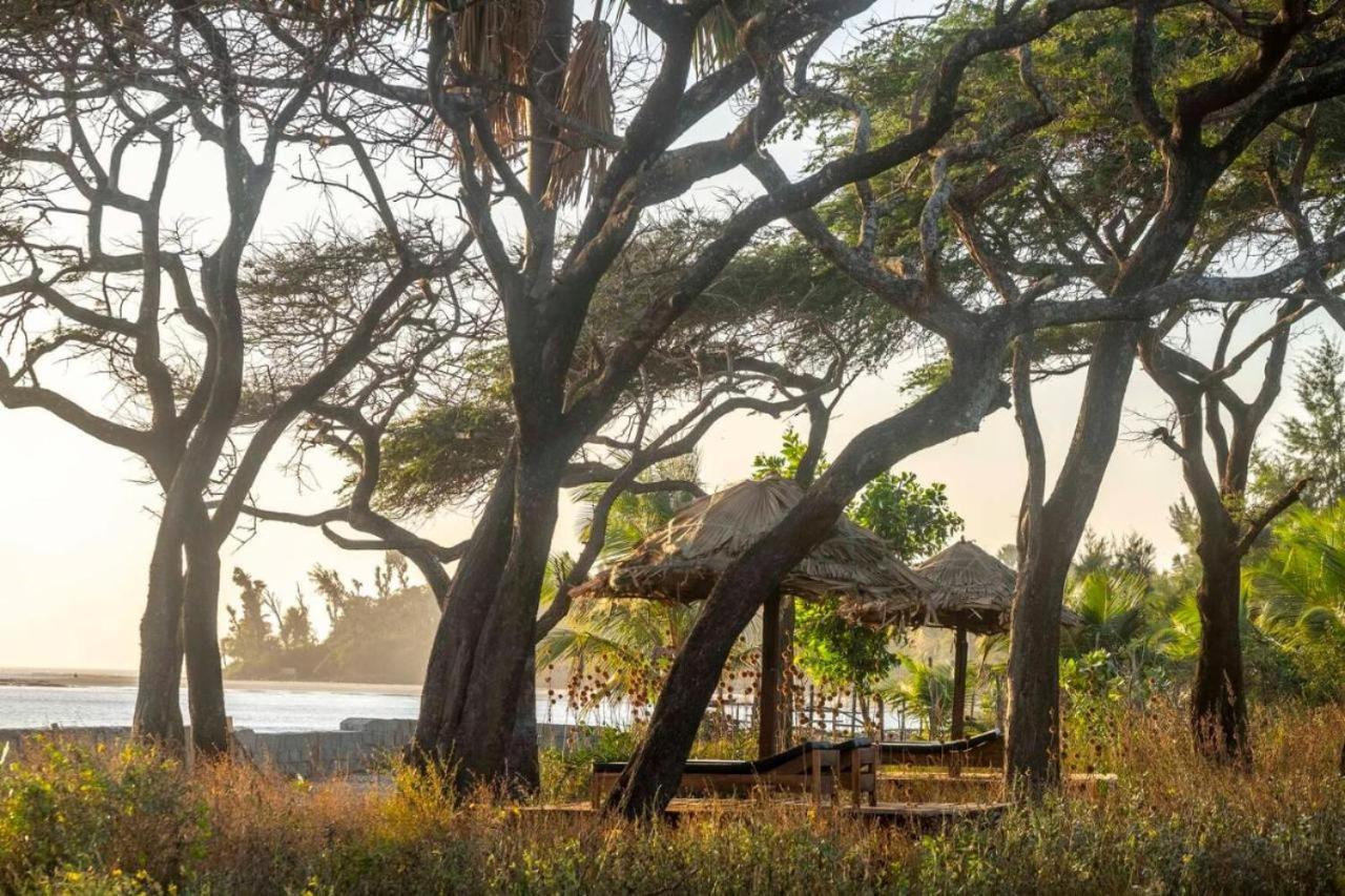 Mansa Musso Lodge Sanyang Exterior photo
