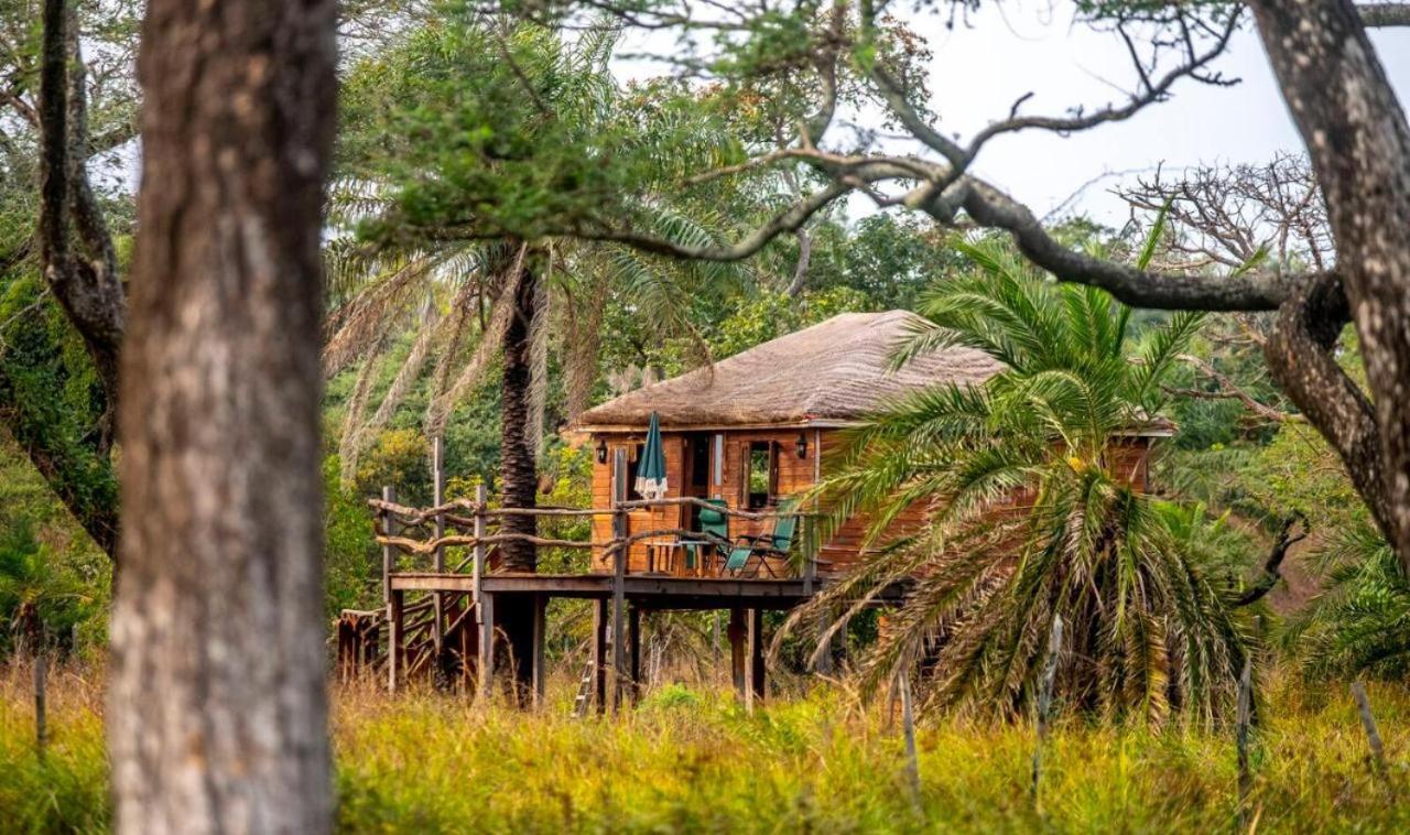 Mansa Musso Lodge Sanyang Exterior photo