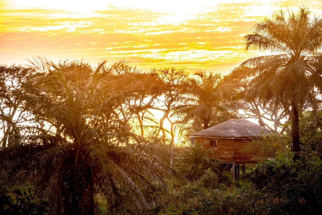 Mansa Musso Lodge Sanyang Exterior photo